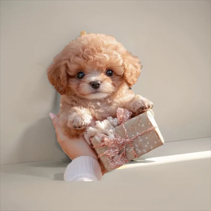 RoboHund 🐶 Nellavia