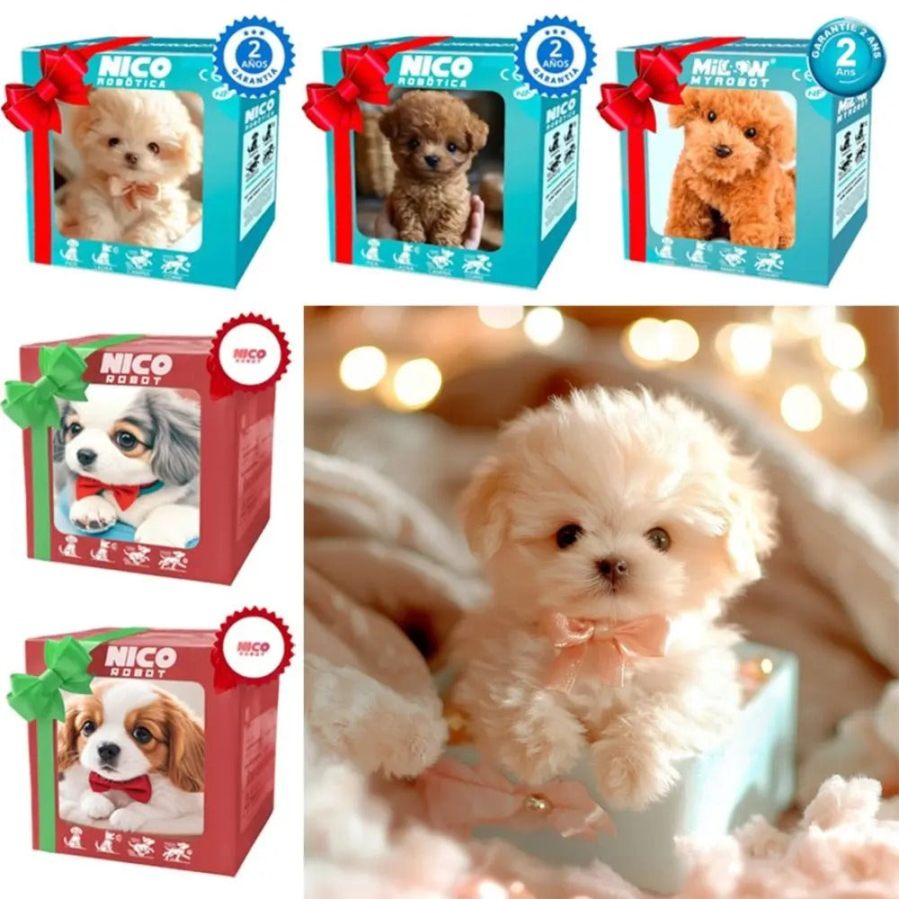 RoboHund 🐶 Nellavia