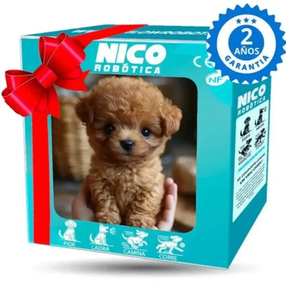 RoboHund 🐶 Nellavia